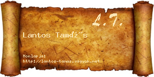 Lantos Tamás névjegykártya